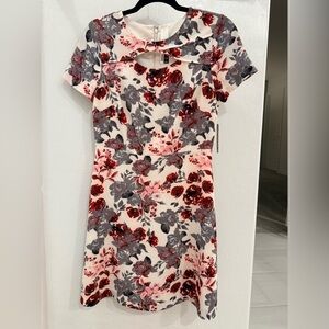 Kensie Red and Gray Floral Mini Dress